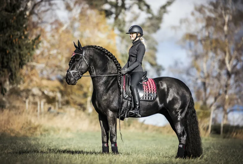 LeMieux Spectrum Saddlepad in Close Contact Mulberry-3